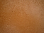 Bild 883